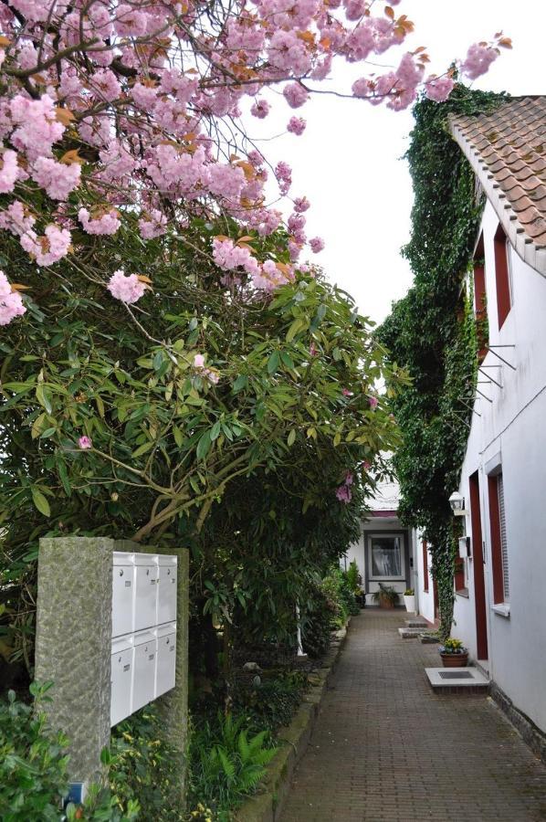 Ferienwohnung Südpark Schneverdingen Exterior foto